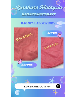 CHANEL 22 IN PINK LAMBSKIN LEATHER AND GOLD HARDWARE" NANO RESTORE AND BAG SPA SERVICE"