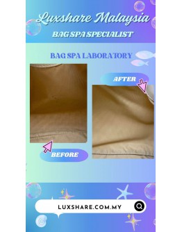 DIOR HOBO BAG (BAG SPA CLEANING,OIL EDGE)