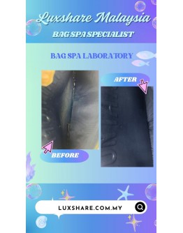 CHRISTIAN DIOR 2-IN-1 30 MONTAIGNE PUCH IN BLUE (BAG SPA CLEANING, NANO RESTORATION)