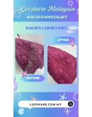 CHRISTIAN DIOR PANAREA TOTE IN PINK (BAG SPA CLEANING, TREATMENT&CARE)