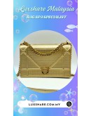 CHRISTIAN DIOR DIORAMA BAG (BAG SPA CLEANING, NANO RESTORATION)