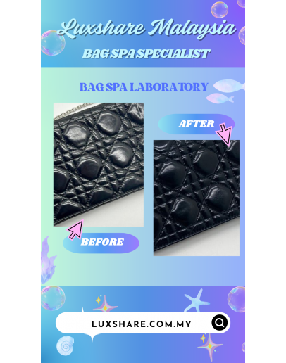 CHRISTIAN DIOR WOC IN BLACK CANNAGE PATENT LEATHER WITH SILVER HARDWARE"NANO RESTORE AND BAG SPA SERVICE"