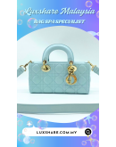 CHRISTIAN DIOR LADY D JOY WITH STRAP "NANO RESTORE AND TREATMENT LEATHER"