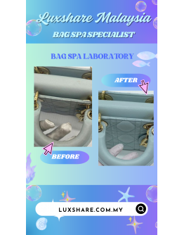 CHRISTIAN DIOR LADY D JOY WITH STRAP "NANO RESTORE AND TREATMENT LEATHER"