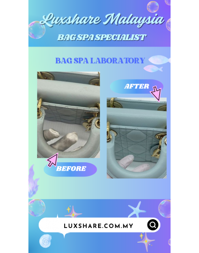 CHRISTIAN DIOR LADY D JOY WITH STRAP "NANO RESTORE AND TREATMENT LEATHER"