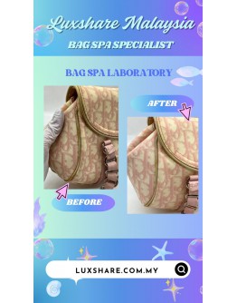 CHRISTIAN DIOR VINTAGE TROTTER ROMANTIC SHOULDER BAG "BAG SPA SERVICE AND LEATHER TREAMENT"