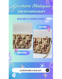 FENDI BAGUETTE POUCH IN MULTICOLOUR FF FABRIC (BAG SPA CLEANING,TREATMENT&CARE)