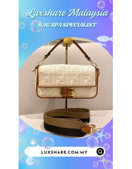 FENDI BAGUETTE BAG IN CANVAS (BAG SPA CLEANING,TREATMENT AND CARE)