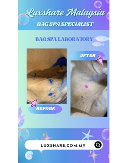 GUCCI SOHO CHAIN LEATHER BAG (BAG SPA CLEANING, TREATMENT &CARE)