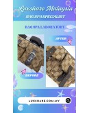 GUCCI SMALL OPHIDIA BELT BAG (LEATHER REPLACEMENT, NANO RESTORATION)