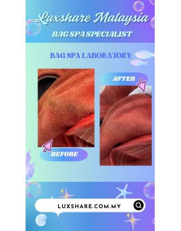 LOEWE AMAZONA HANDBAG (BAG SPA CLEANING, TOUCH UP HANDLE PIPING PART)