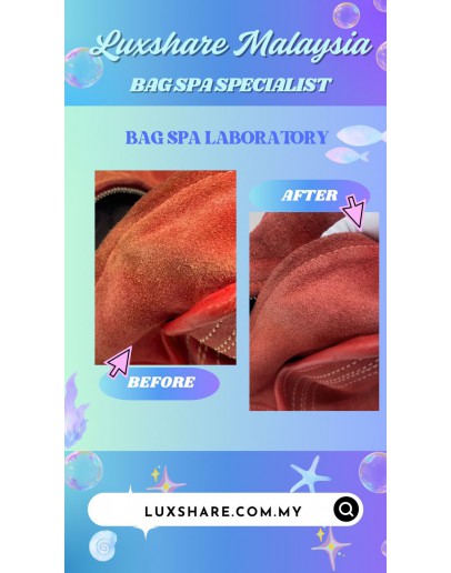 LOEWE AMAZONA HANDBAG (BAG SPA CLEANING, TOUCH UP HANDLE PIPING PART)