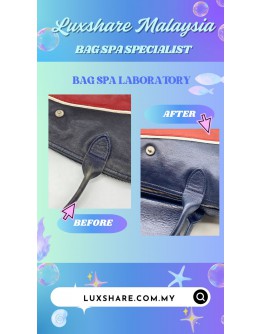 LONGCHAMP LE PILAGE BAG (BAG SPA CLEANING,NANO RESTORATION)
