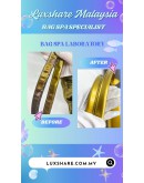 LONGCHAMP LE PILAGE HANDBAG SILVER SPECIAL EDITION IN METALLIC HANDLE (BAG SPA CLEANING, LEATHER REPLACEMENT)