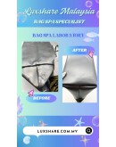 LONGCHAMP LE PILAGE HANDBAG SILVER SPECIAL EDITION IN METALLIC HANDLE (BAG SPA CLEANING, LEATHER REPLACEMENT)