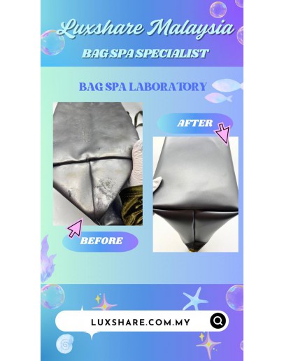 LONGCHAMP LE PILAGE HANDBAG SILVER SPECIAL EDITION IN METALLIC HANDLE (BAG SPA CLEANING, LEATHER REPLACEMENT)