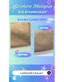 LONGCHAMP LE PILAGE ENERGY XS TOP HANDLE BAG IN CLAY (BAG SPA CLEANING,TREATMENT AND CARE)