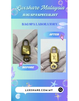 LOUIS VUITTON SPEEDY 30 (GOLD PLATED , BAG SPA CLEANING)