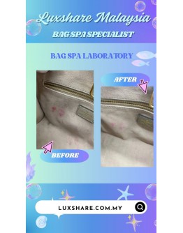 LOUIS VUITTON ONTHEGO PM IN EMBOSSED CALF LEATHER (BAG SPA CLEANING,TREATMENT AND CARE)