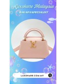 LOUIS VUITTON CAPUCINES HANDBAGS (BAG SPA CLEANING,TREATMENT AND CARE)