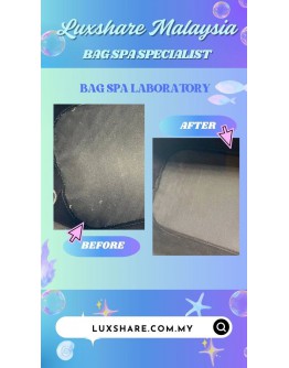 LOUIS  VUITTON ALMA PM HANDBAG (BAG SPA CLEANING,TREATMENT AND CARE)