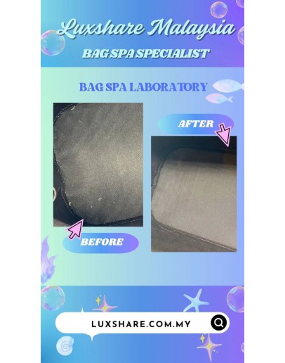 LOUIS  VUITTON ALMA PM HANDBAG (BAG SPA CLEANING,TREATMENT AND CARE)