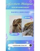 LOUIS VUITTON NEVERFULL PM BAG IN DAMIER AZUR CANVAS (BAG SPA CLEANING,  VACHETTA LEATHER REPLACEMENT)