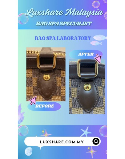 LOUIS VUITTON TREVI PM HANDBAG IN DAMIER EBENE CANVAS (REMOVE MOULD,BAG SPA CLEANING)