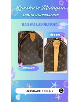 LOUIS VUITTON SPEEDY BANDOULIERE 25 HANDBAG IN MONOGRAM CANVAS (BAG SPA CLEANING, VACHETTA LEATHER REPLACEMENT)