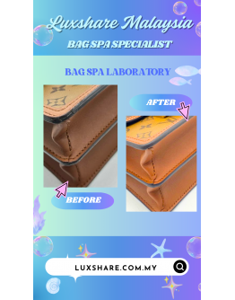 LOUIS VUITTON DAUPHINE IN REVERSE MONOGRAM CANVAS WITH STRAP" OIL EDGE REPLACEMENT AND BAG SPA SERVICE"