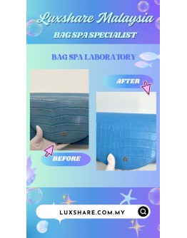 ETIENNE AIGNER HANDBAG (NANO RESTORATION, BAG SPA CLEANING)