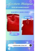 FERRAGAMO SMALL STUDIO BOX BAG IN RED (NANO RESTORATION, BAG SPA CLEANING)